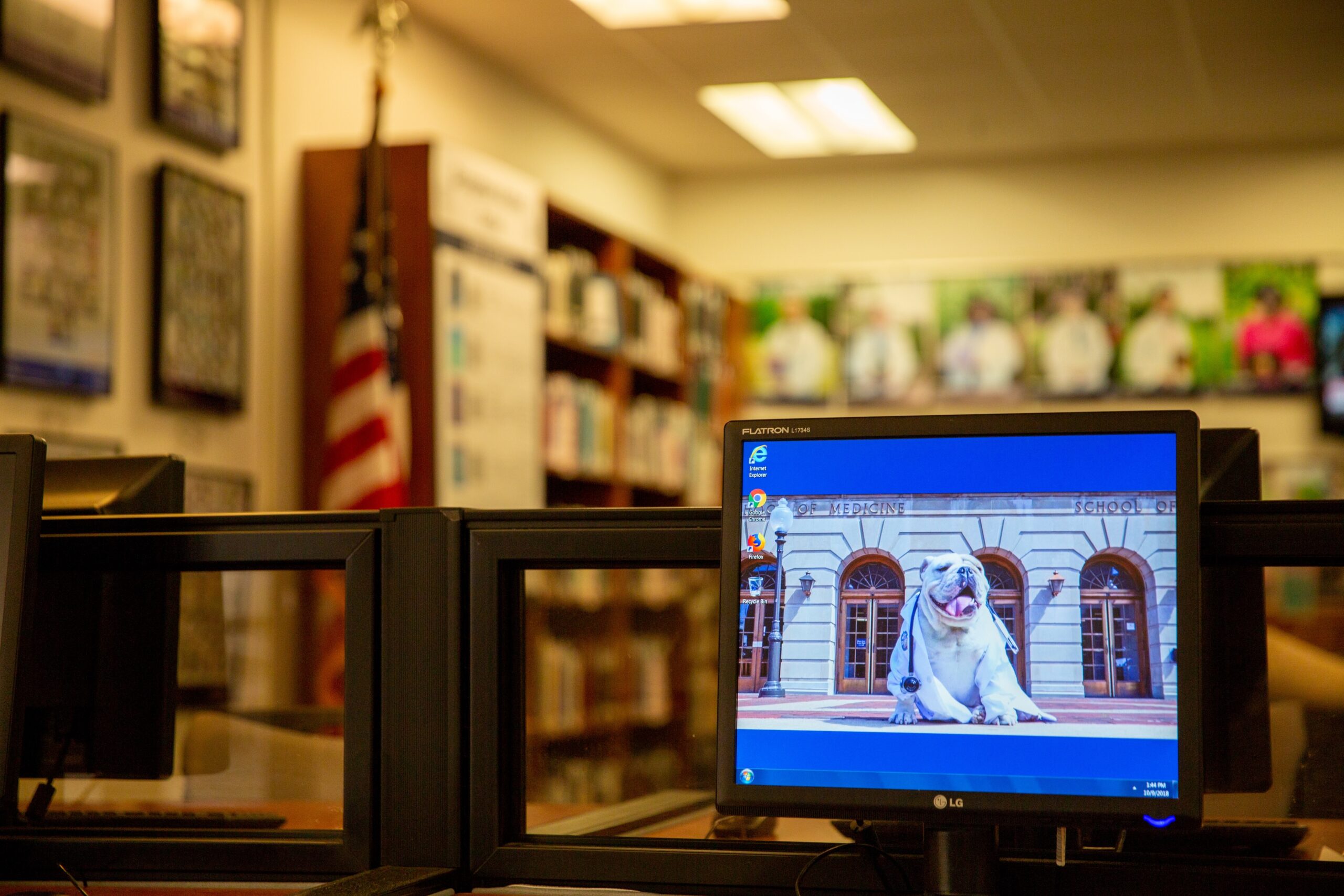 Computer in an office with Jack the Bulldog as a background.