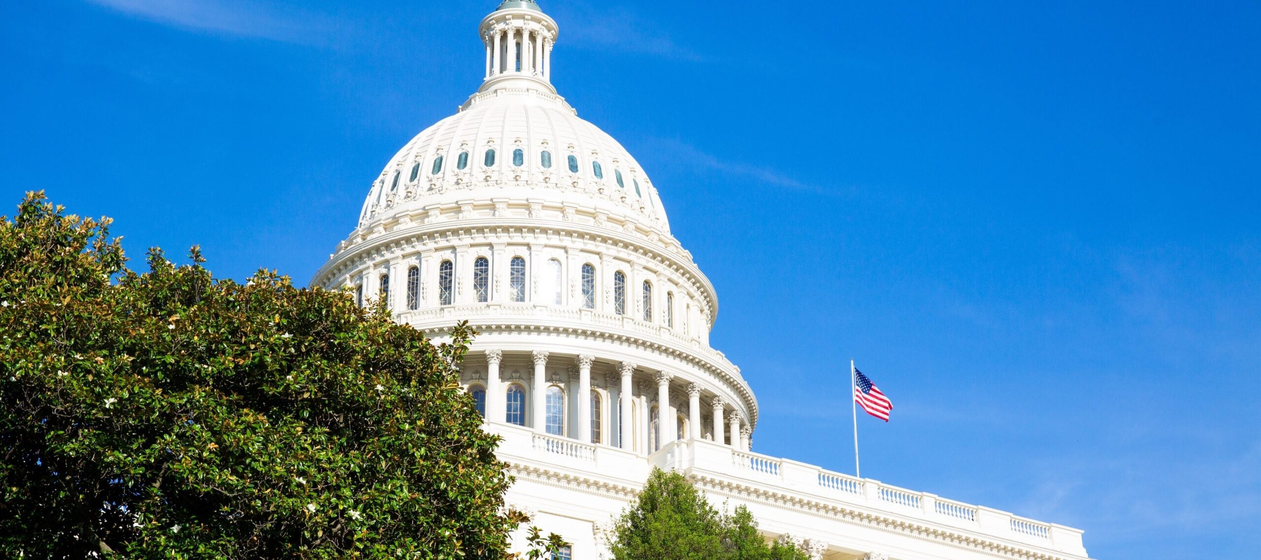 U.S. Capitol Building